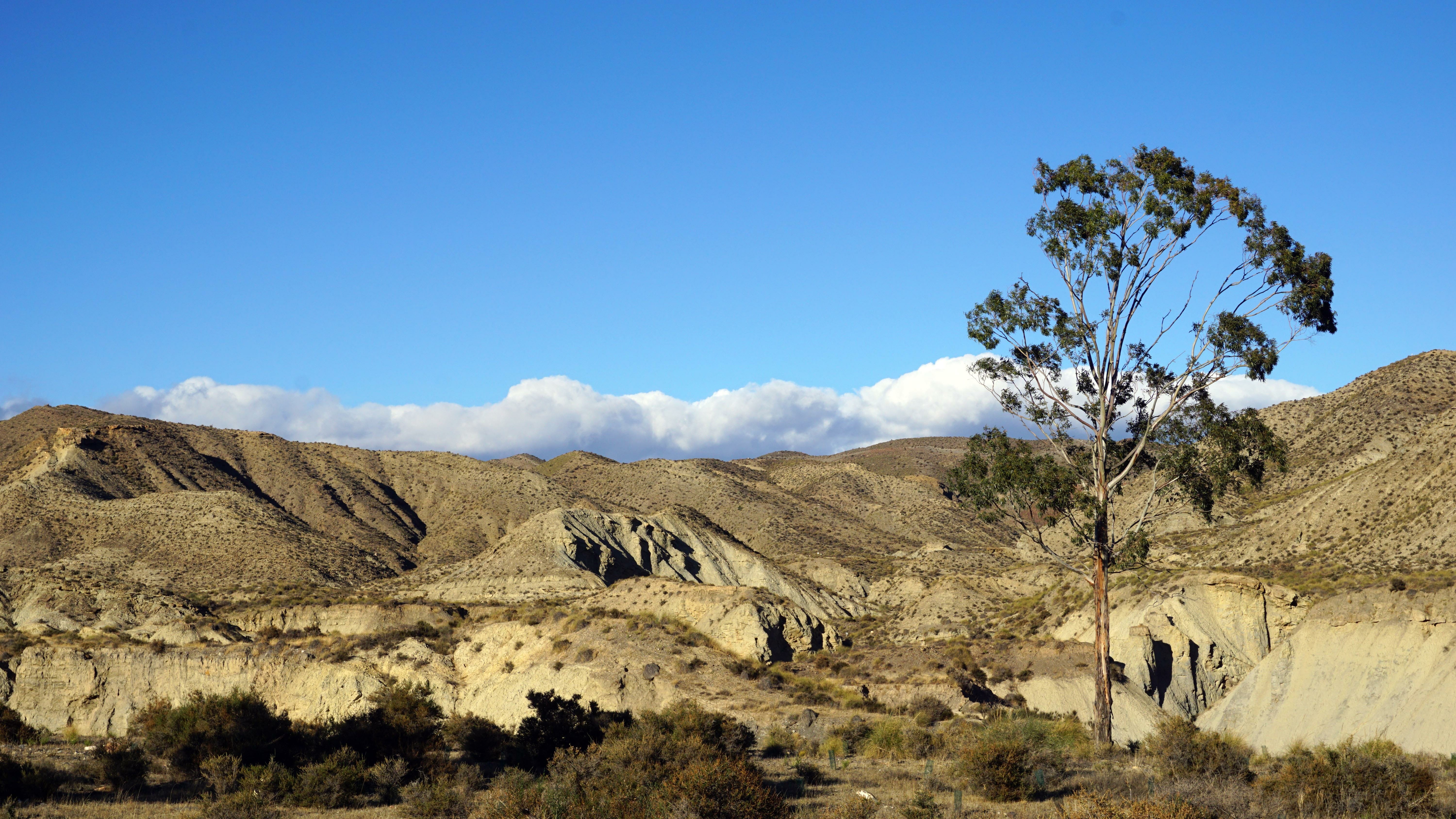 hiking Tabernas desert landscape