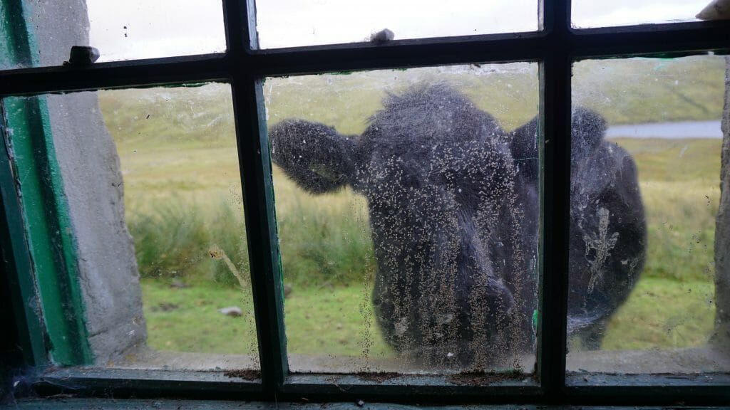 Cape Wrath Trail Knockdamph Bothy