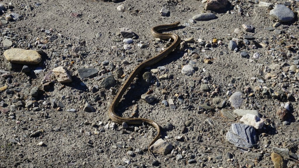 Crossing the Tabernas Desert | Beat the Trail