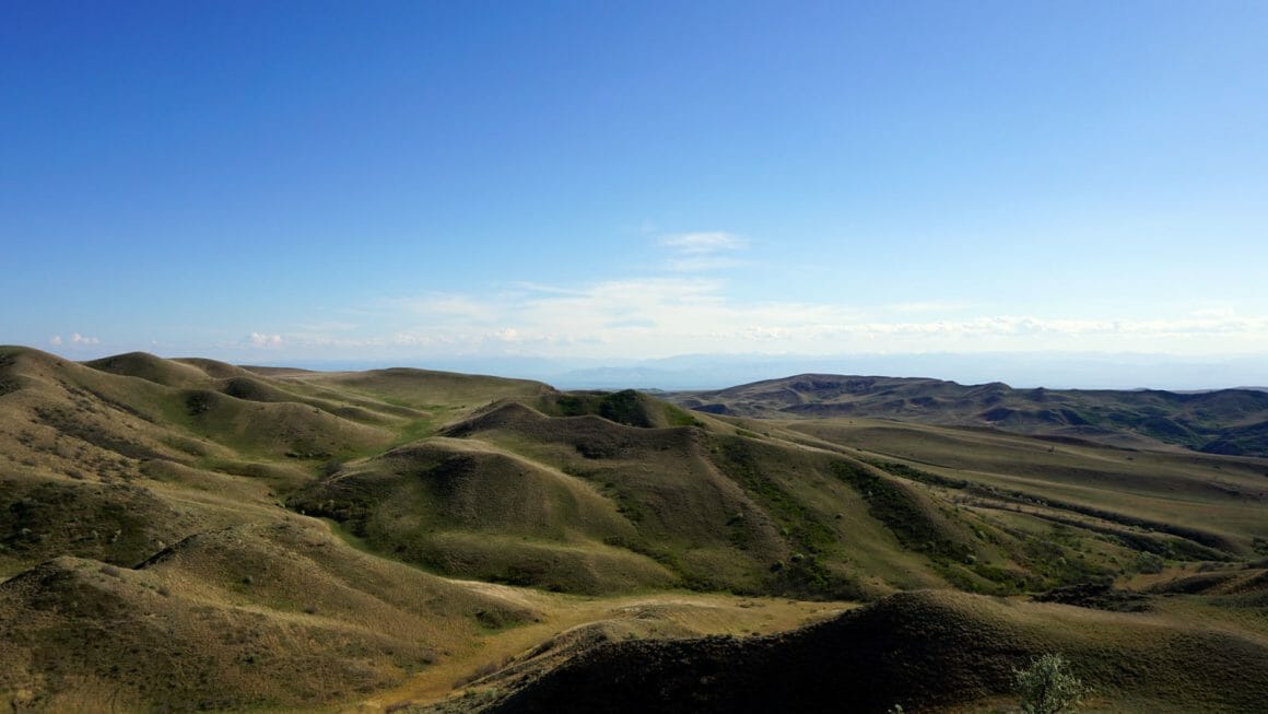 Udabno georgia hills