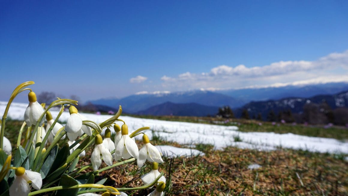 cheap hiking spring