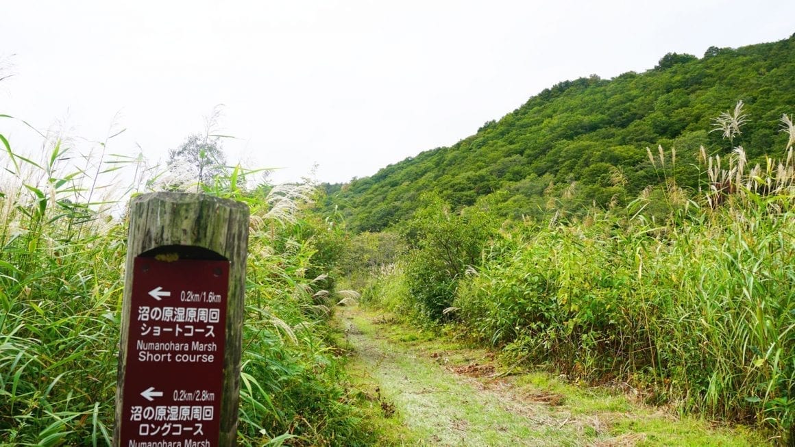 Shinetsu Trail 