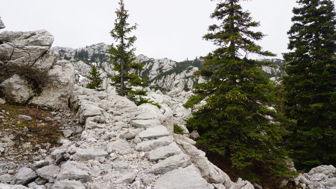 Premužić trail drystone 