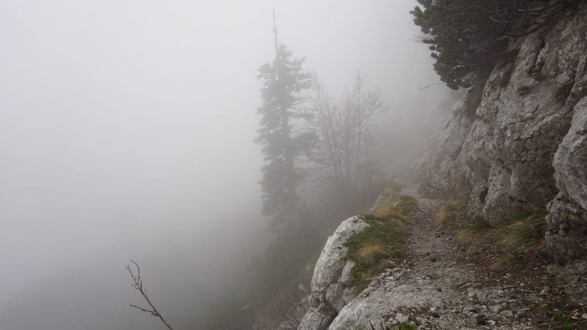 Premužić trail fog