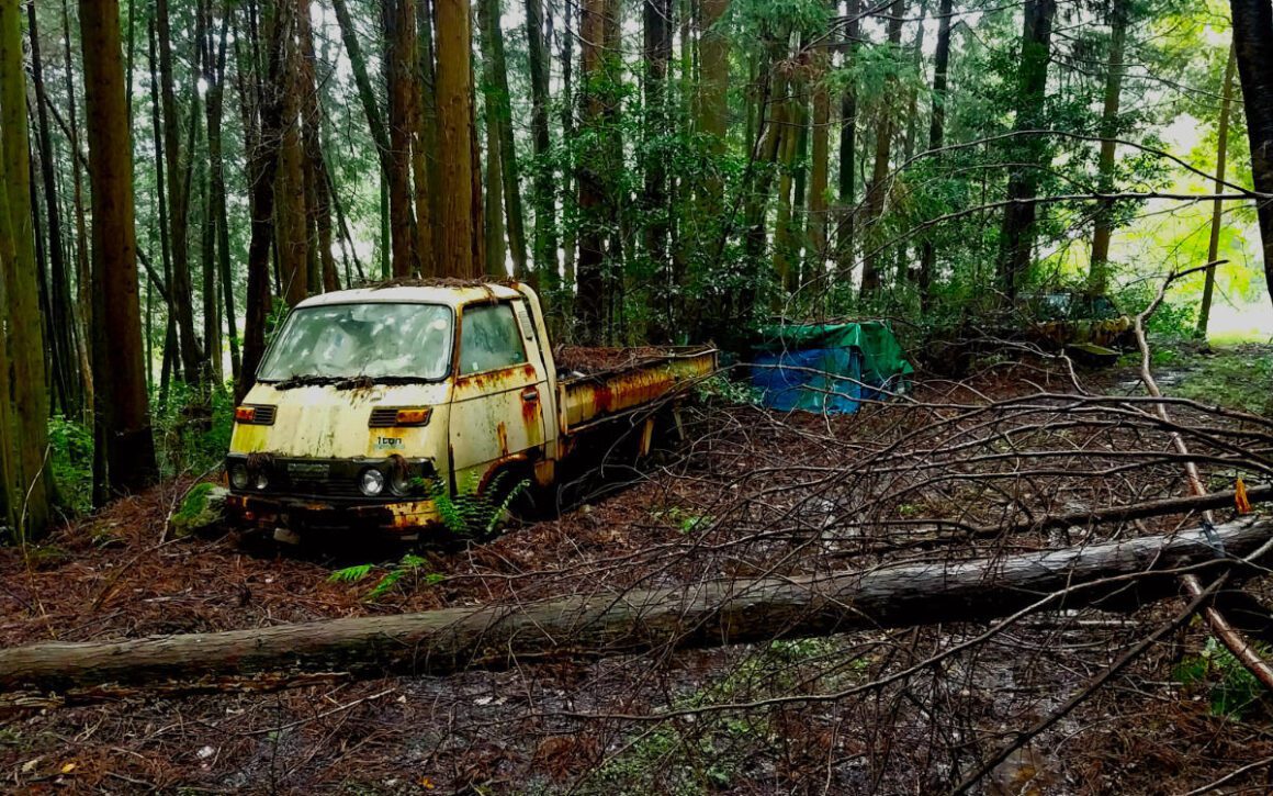 A derelict truck and a fallen tree obscure an overgrown forest path